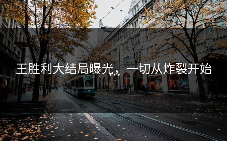 王胜利大结局曝光，一切从炸裂开始…