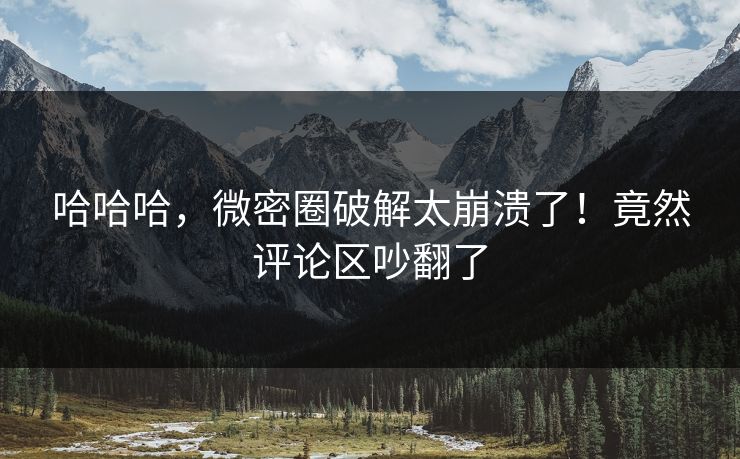 哈哈哈，微密圈破解太崩溃了！竟然评论区吵翻了