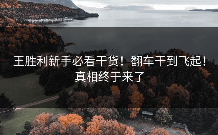 王胜利新手必看干货！翻车干到飞起！真相终于来了