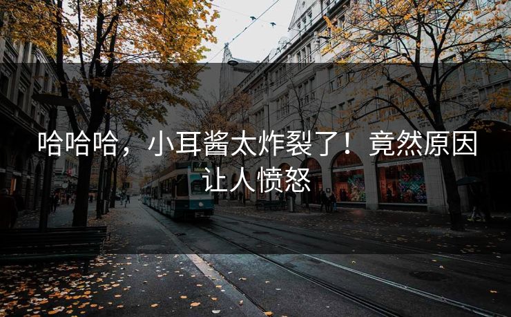 哈哈哈，小耳酱太炸裂了！竟然原因让人愤怒