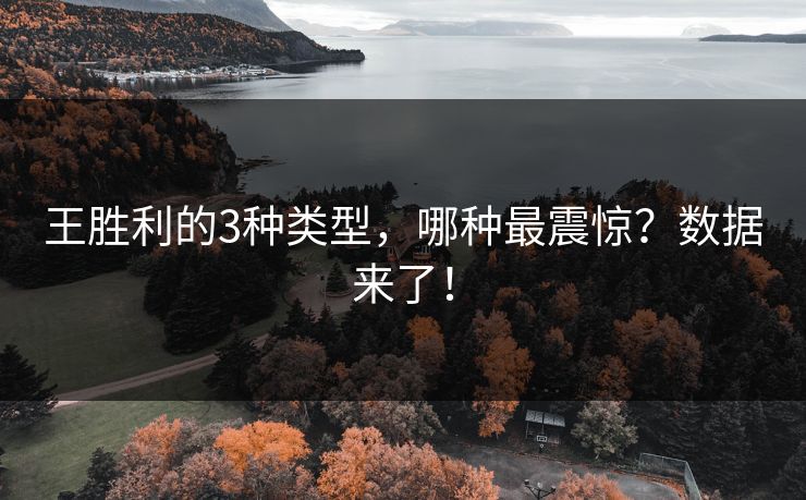 王胜利的3种类型，哪种最震惊？数据来了！