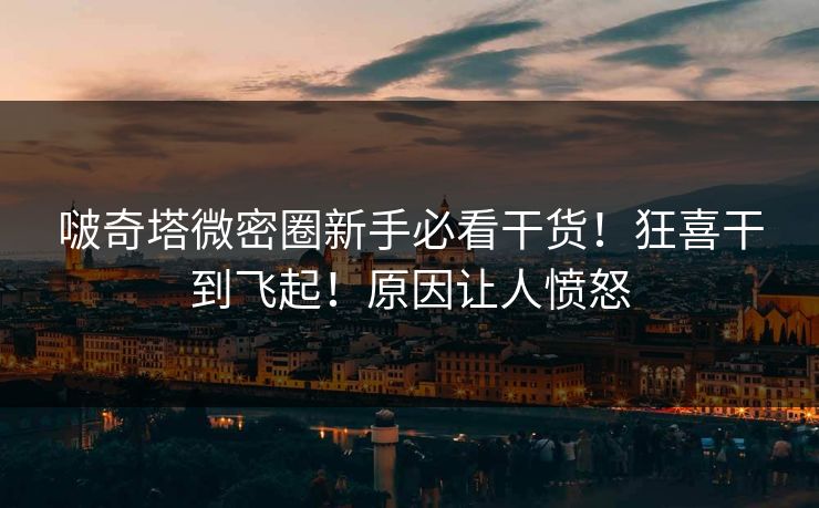 啵奇塔微密圈新手必看干货！狂喜干到飞起！原因让人愤怒