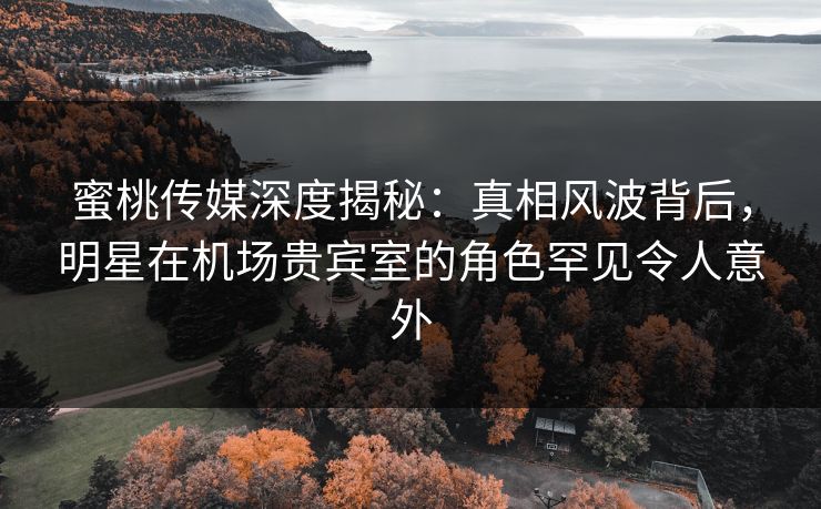 蜜桃传媒深度揭秘：真相风波背后，明星在机场贵宾室的角色罕见令人意外