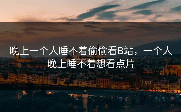 晚上一个人睡不着偷偷看B站，一个人晚上睡不着想看点片